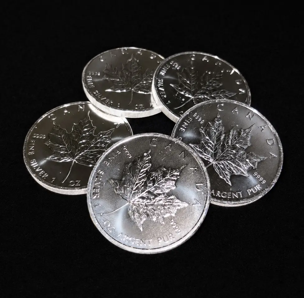 silver_maples